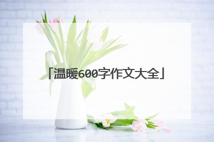 温暖600字作文大全