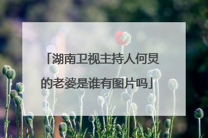 湖南卫视主持人何炅的老婆是谁有图片吗