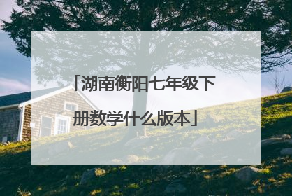 湖南衡阳七年级下册数学什么版本