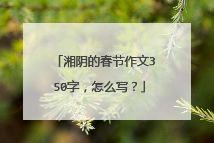 湘阴的春节作文350字，怎么写？