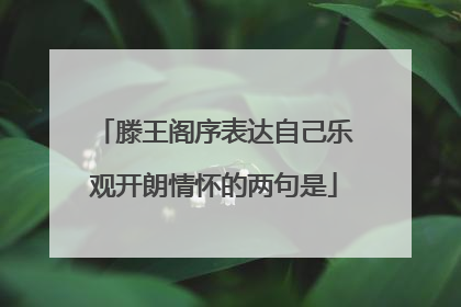 滕王阁序表达自己乐观开朗情怀的两句是