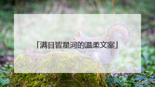 满目皆星河的温柔文案