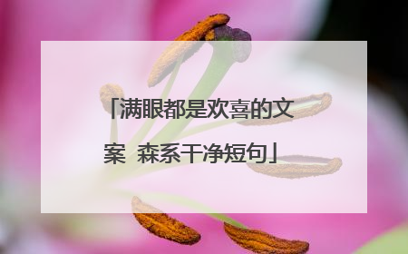 满眼都是欢喜的文案 森系干净短句
