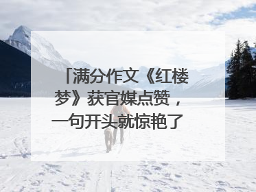 满分作文《红楼梦》获官媒点赞，一句开头就惊艳了众人，这篇作文有多好？