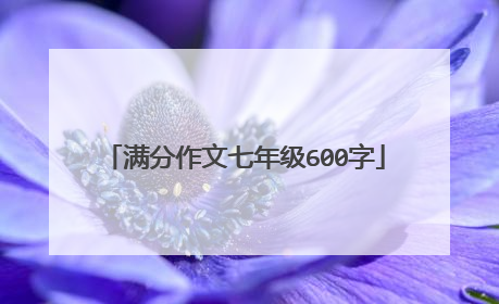 满分作文七年级600字