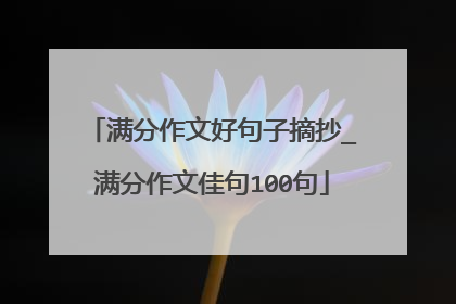 满分作文好句子摘抄_满分作文佳句100句