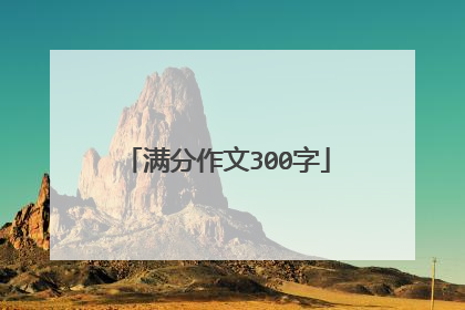 满分作文300字