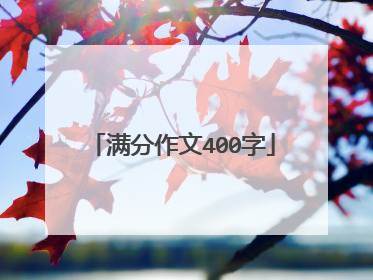 满分作文400字