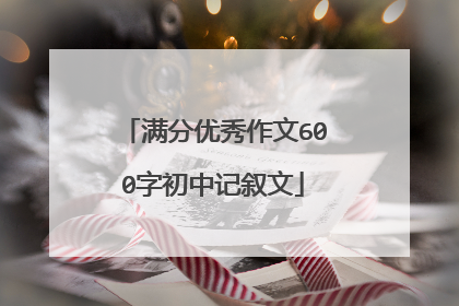 满分优秀作文600字初中记叙文