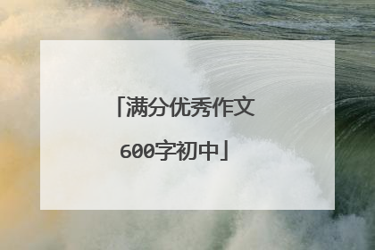 满分优秀作文600字初中