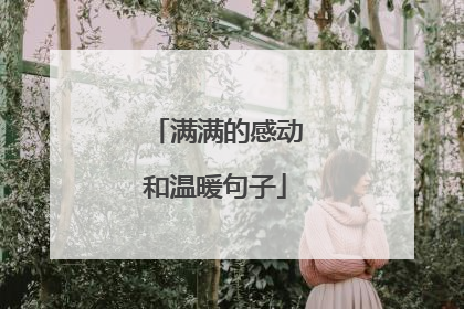 满满的感动和温暖句子