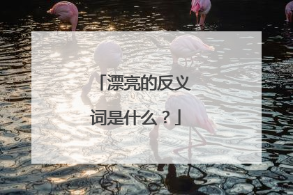 漂亮的反义词是什么？