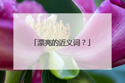 漂亮的近义词?