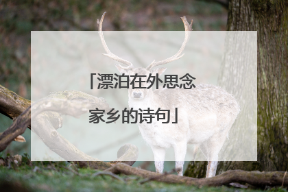 漂泊在外思念家乡的诗句