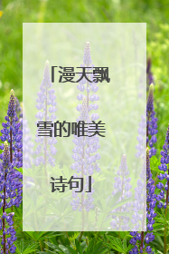 漫天飘雪的唯美诗句