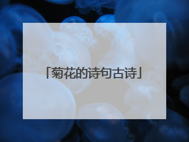 菊花的诗句古诗