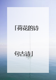 荷花的诗句古诗