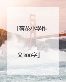 荷花小学作文300字