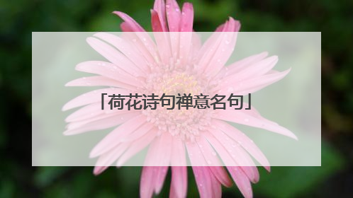 荷花诗句禅意名句
