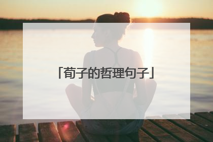 荀子的哲理句子