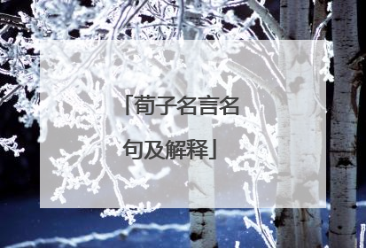 荀子名言名句及解释