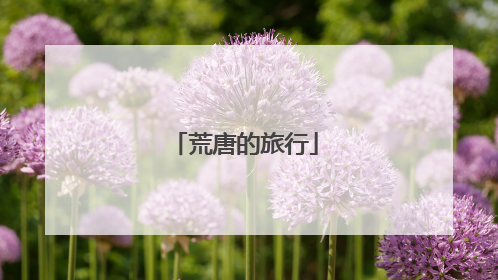 荒唐的旅行