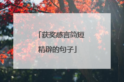 获奖感言简短精辟的句子