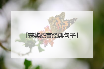 获奖感言经典句子