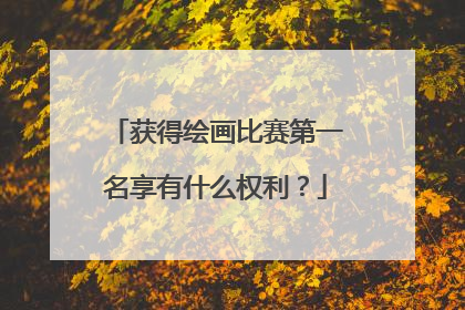 获得绘画比赛第一名享有什么权利?