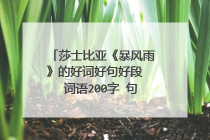 莎士比亚《暴风雨》的好词好句好段 词语200字 句子300段落两段
