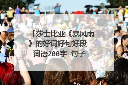莎士比亚《暴风雨》的好词好句好段 词语200字 句子300段落两段