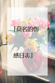 莫名的伤感日志