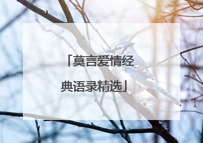 莫言爱情经典语录精选