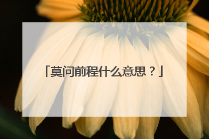 莫问前程什么意思?