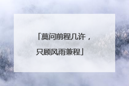莫问前程几许,只顾风雨兼程