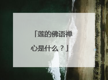 莲的佛语禅心是什么?