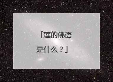 莲的佛语是什么?