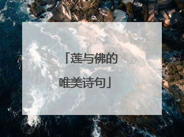 莲与佛的唯美诗句