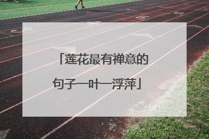 莲花最有禅意的句子一叶一浮萍