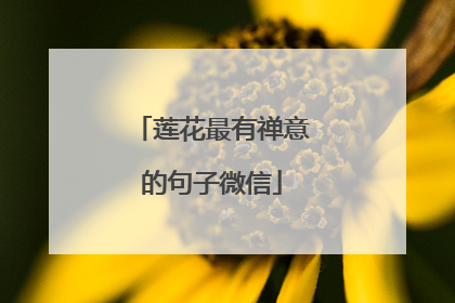 莲花最有禅意的句子微信