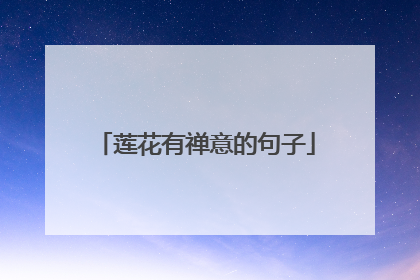 莲花有禅意的句子