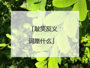 耻笑反义词是什么