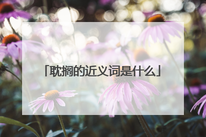 耽搁的近义词是什么