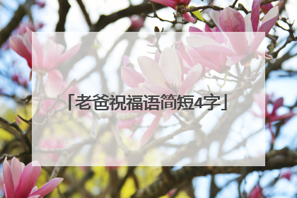 老爸祝福语简短4字