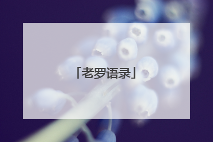 老罗语录
