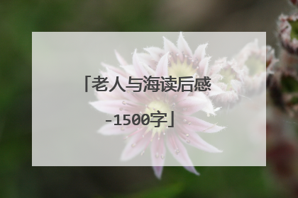 老人与海读后感-1500字