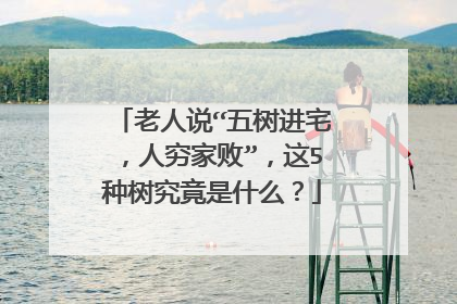 老人说“五树进宅，人穷家败”，这5种树究竟是什么？