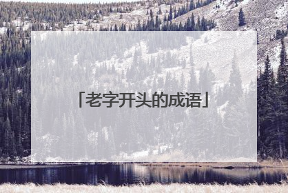 老字开头的成语