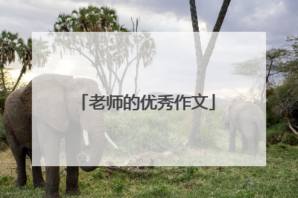 老师的优秀作文