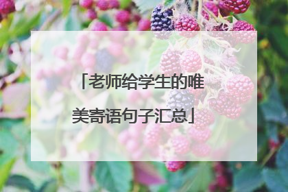 老师给学生的唯美寄语句子汇总